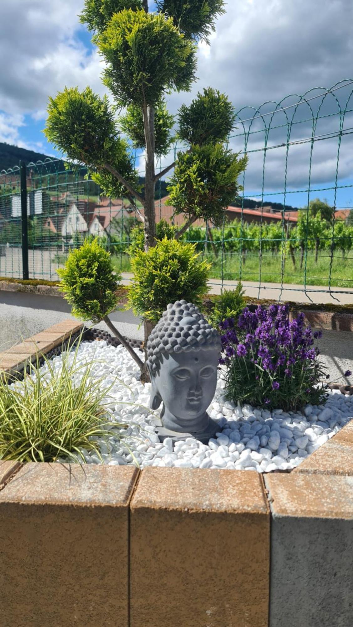 Au Jardin D'Edel Gites Centre Alsace Dieffenthal Exteriér fotografie